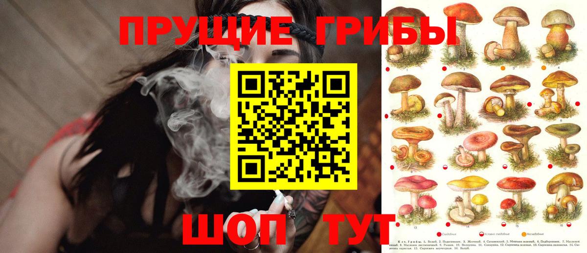 Псилоцибиновые грибы Psilocybine cubensis  Галлюциногенные грибы Psilocybine cubensis  Северск  Вход с VPN 