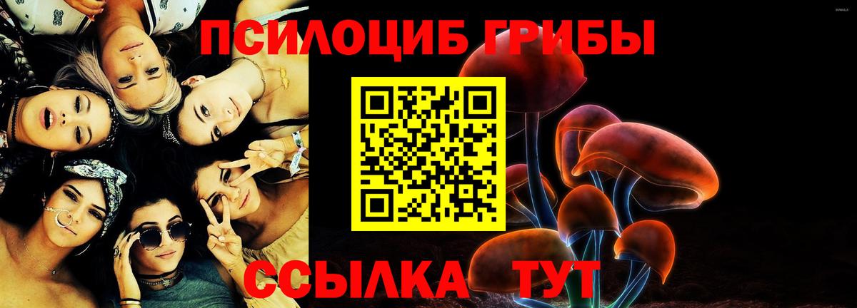 Псилоцибиновые грибы мухоморы Северск
